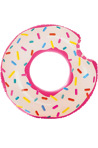 Picture of Intex Donut Tube